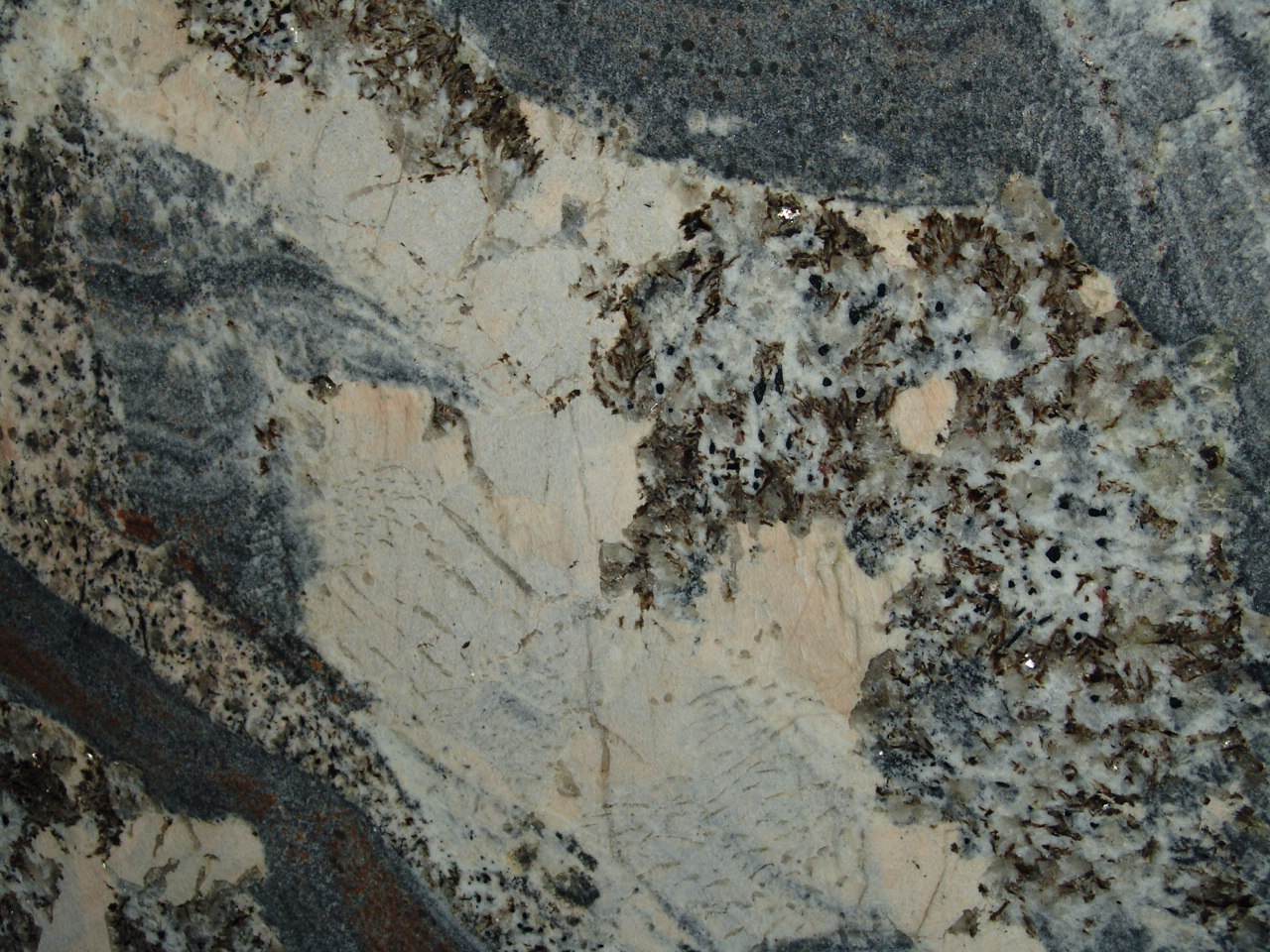 IMAGE , PICTURE , PHOTO of granites 7 Golden Butterfly, Harlequin